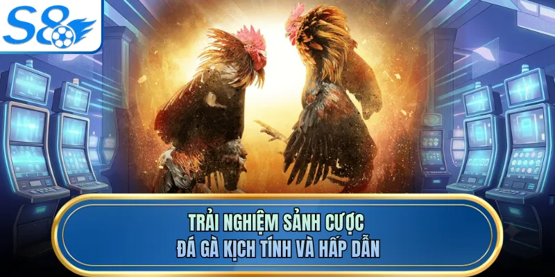 Trải nghiệm sảnh cược đá gà kịch tính và hấp dẫn